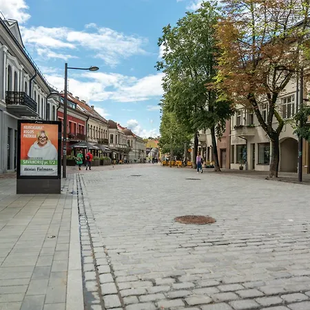 Greendeco31 Kaunas